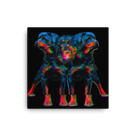 Cerberus Canvas